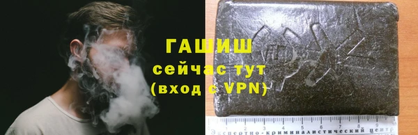 PSILOCYBIN Бугульма