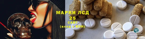 PSILOCYBIN Бугульма