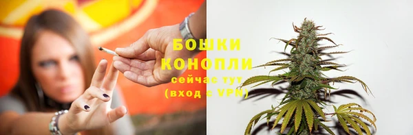 гашик Бронницы