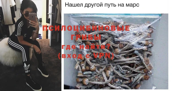 PSILOCYBIN Бугульма