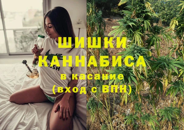 твердый Бородино