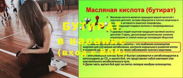твердый Бородино