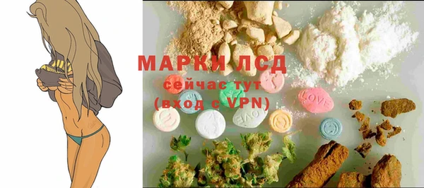 твердый Бородино