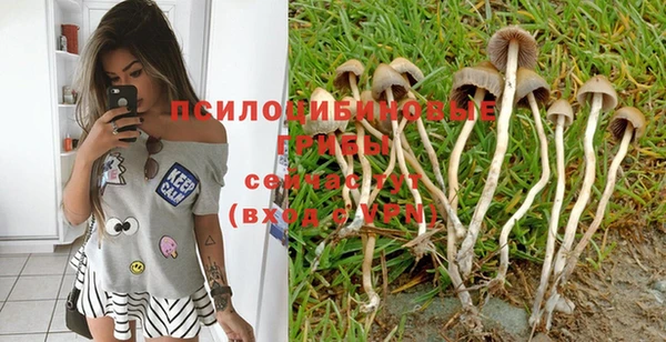 гашик Бронницы